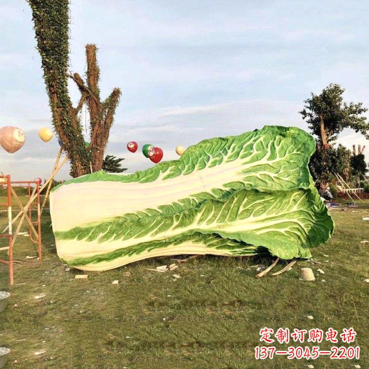 宜宾新鲜白菜“精致生活”系列