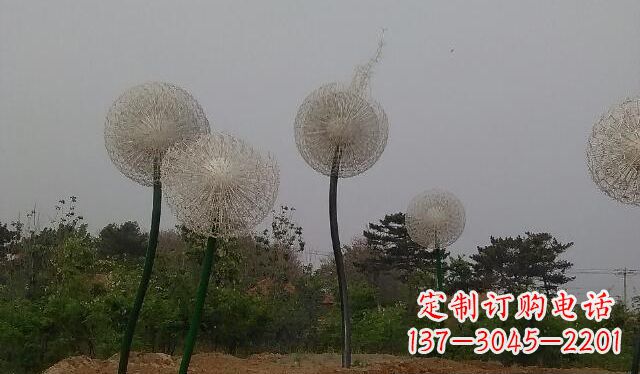 宜宾蒲公英的绚丽多彩
