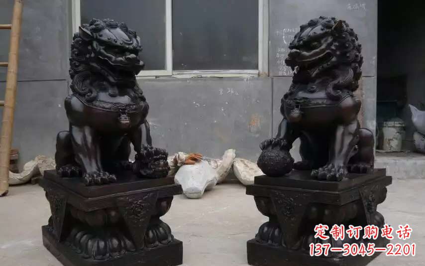 宜宾踩球镇的狮子之家
