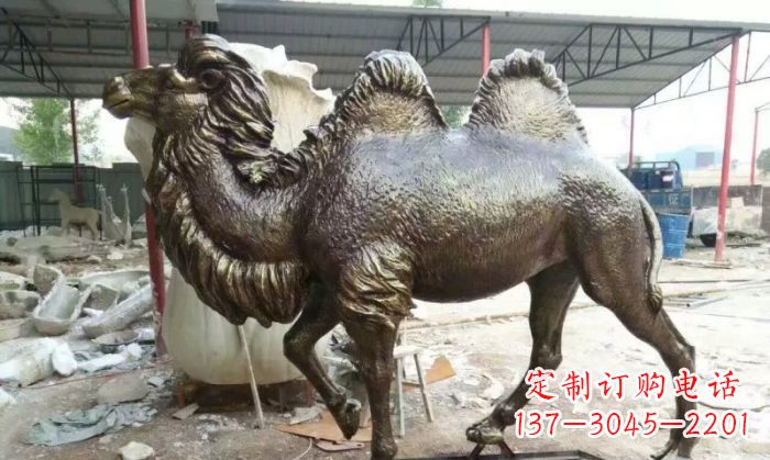 宜宾铜雕骆驼,精致优雅