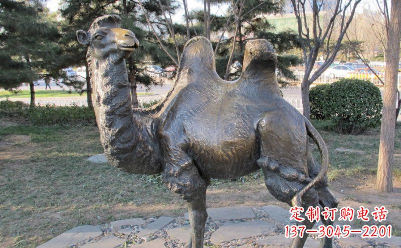 宜宾铜骆驼雕塑——浓缩自然美丽