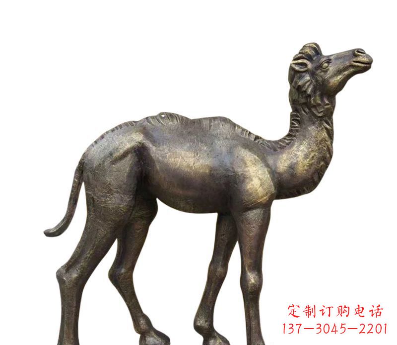 宜宾奇美洁净的骆驼铜雕