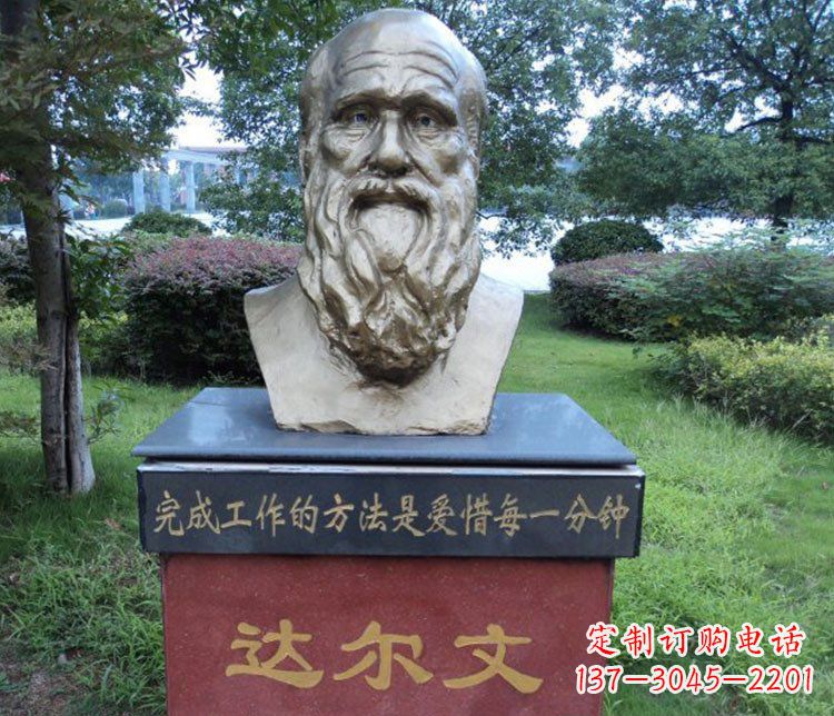 宜宾铜雕校园达尔文肖像雕塑